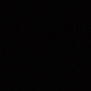 Meet your Posher, Dillon